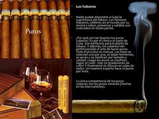 Puros 
• Los habanos 
• Nadie puede disputarle a Cuba la 
supremacía del tabaco. Los famosos 
Habanos, célebres en el mundo por su 
aroma y sabor, presencia y calidad, son 
codiciados en todas partes. 
• ¿Por qué son tan buenos los puros 
cubanos? Es por el clima y el suelo de 
Cuba. Son perfectos para la planta de 
tabaco. Y además, los cubanos han 
perfeccionado el arte de hacer puros. 
Todo el proceso es manual. Las hojas se 
colectan una por una, se dejan fermentar, 
se secan y se clasifican por tamaño y 
calidad. Luego los puros se clasifican 
según el color. ¡Hay 50 gradaciones de 
color! Y finalmente se colocan en cajas de 
cedro. Un maestro experto hace 10 puros 
por hora. 
• La única competencia de los puros 
cubanos son los puros canarios (hechos 
en las islas Canarias). 
 