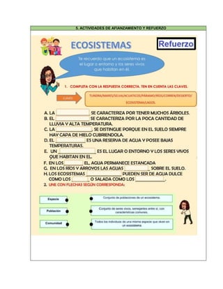 5. ACTIVIDADES DE AFIANZAMIENTO Y REFUERZO
 