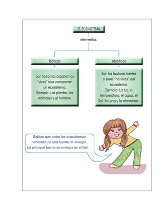 Sabías que todos los ecosistemas
necesitan de una fuente de energía.
La principal fuente de energía es el Sol.
 