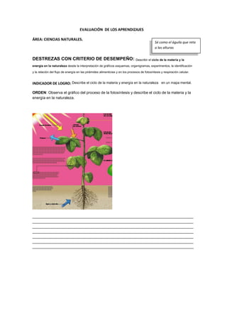 EVALUACIÓN DE LOS APRENDIZAJES
ÁREA: CIENCIAS NATURALES.
DESTREZAS CON CRITERIO DE DESEMPEÑO: Describir el ciclo de la materia y la
energía en la naturaleza desde la interpretación de gráficos esquemas, organigramas, experimentos, la identificación
y la relación del flujo de energía en las pirámides alimenticias y en los procesos de fotosíntesis y respiración celular.
INDICADOR DE LOGRO: Describe el ciclo de la materia y energía en la naturaleza en un mapa mental.
ORDEN: Observa el gráfico del proceso de la fotosíntesis y describe el ciclo de la materia y la
energía en la naturaleza.
____________________________________________________________________________
____________________________________________________________________________
____________________________________________________________________________
____________________________________________________________________________
____________________________________________________________________________
____________________________________________________________________________
____________________________________________________________________________
Sé como el águila que reta
a las alturas
 