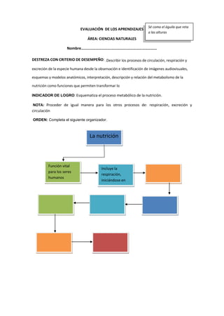 EVALUACIÓN DE LOS APRENDIZAJES
ÁREA: CIENCIAS NATURALES
Nombre………………………….…………….…………………………
DESTREZA CON CRITERIO DE DESEMPEÑO: .Describir los procesos de circulación, respiración y
excreción de la especie humana desde la observación e identificación de imágenes audiovisuales,
esquemas y modelos anatómicos, interpretación, descripción y relación del metabolismo de la
nutrición como funciones que permiten transformar lo
INDICADOR DE LOGRO: Esquematiza el proceso metabólico de la nutrición.
NOTA: Proceder de igual manera para los otros procesos de: respiración, excreción y
circulación
ORDEN: Completa el siguiente organizador.
Sé como el águila que reta
a las alturas
La nutrición
Función vital
para los seres
humanos
Incluye la
respiración,
iniciándose en
 