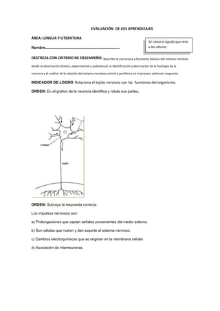 EVALUACIÓN DE LOS APRENDIZAJES
ÁREA: LENGUA Y LITERATURA
Nombre………………………….…………….…………………………
DESTREZA CON CRITERIO DE DESEMPEÑO: Describir la estructura y funciones básicas del sistema nervioso
desde la observación directa, experimental y audiovisual, la identificación y descripción de la fisiología de la
neurona y el análisis de la relación del sistema nervioso central y periférico en el proceso estimulo-respuesta.
INDICADOR DE LOGRO: Relaciona el tejido nervioso con las funciones del organismo.
ORDEN: En el grafico de la neurona identifica y rotula sus partes.
ORDEN: Subraya la respuesta correcta.
Los impulsos nerviosos son:
a) Prolongaciones que captan señales provenientes del medio externo.
b) Son células que nutren y dan soporte al sistema nervioso.
c) Cambios electroquímicos que se originan en la membrana celular.
d) Asociación de interneuronas.
Sé cómo el águila que reta
a las alturas
 