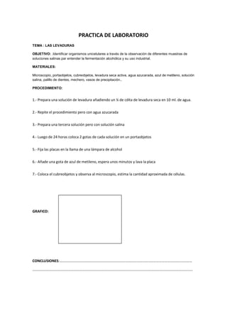 PRACTICA DE LABORATORIO
TEMA : LAS LEVADURAS
OBJETIVO: .Identificar organismos unicelulares a través de la observación de diferentes muestras de
soluciones salinas par entender la fermentación alcohólica y su uso industrial.
MATERIALES:
Microscopio, portaobjetos, cubreobjetos, levadura seca activa, agua azucarada, azul de metileno, solución
salina, palillo de dientes, mechero, vasos de precipitación..
PROCEDIMIENTO:
1.- Prepara una solución de levadura añadiendo un ¼ de cdita de levadura seca en 10 ml. de agua.
2.- Repite el procedimiento pero con agua azucarada
3.- Prepara una tercera solución pero con solución salina
4.- Luego de 24 horas coloca 2 gotas de cada solución en un portaobjetos
5.- Fija las placas en la llama de una lámpara de alcohol
6.- Añade una gota de azul de metileno, espera unos minutos y lava la placa
7.- Coloca el cubreobjetos y observa al microscopio, estima la cantidad aproximada de células.
GRAFICO:
CONCLUSIONES:………………………………………………………………………………………………………………………………
…………………………………………………………………………………………………………………………………………………………
 