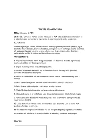 PRACTICA DE LABORATORIO
TEMA: Extracción de ADN
OBJETIVO.: Extraer de manera sencilla moléculas de ADN a través de la experimentación en
el laboratorio para comprender la importancia de este bioelemento en los seres vivos.
MATERIALES:
Muestra vegetal (ajo, cebolla, tomate), muestra animal (hígado de pollo crudo y fresco), agua
destilada, cloruro de sodio, bicarbonato sódico , detergente liquido o champú, alcohol isoamilico
a 0 grados centígrados, batidora, nevera, colador, vaso de precipitación, tubo de ensayo ,
varilla, pipeta, cuchillo de cocina, azul de metileno, microscopio
PROCEDIMIENTO:
1.-Prepara una mezcla de: 120ml de agua destilada, 1, 5 de cloruro de sodio, 5 gramos de
bicarbonato sódico, 5ml d detergente líquido
2.-Elige la muestra y córtala en cuadritos pequeños.
3.-Tritura la muestra en la batidora as{i se romperán muchas células y otras quedaran
expuestas a la acción del detergente.
4.-Mezcla en un recipiente 5ml del triturado celular con 10ml de l mezcla anterior y agita 2
minutos.
5.-Sepra los restos vegetales del caldo molecular haciendo pasar por un colador
6.-Retira 5 ml de caldo molecular y colócalo en un tubo d ensayo
7.-Añade 10ml de alcohol isoamilico por la cara interna del recipiente.
8.-Introduce la punta de la varilla hasta justo debajo de la separación del alcohol y la mezcla
9.-Remueve la varilla de adelante hacia atrás poco a poco se enrollaran los fragmentos de
mayor tamaño de ADN.
10.-Luego de 1 minuto retira la varilla atravesando la capa de alcohol ,con lo cual el ADN
quedara adherido a su extremo .
11.- Realiza el mismo procedimiento esta vez con el hígado de pollo y registra tus resultados.
12.- Colorea una porción de la muestra con azul de metileno y observa al microscopio.
GRAFICO
 