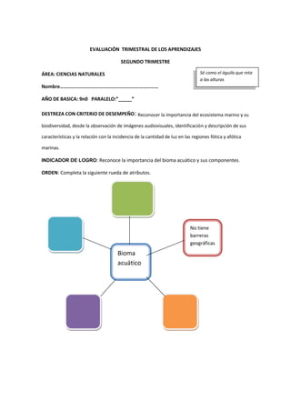 EVALUACIÓN TRIMESTRAL DE LOS APRENDIZAJES
SEGUNDO TRIMESTRE
ÁREA: CIENCIAS NATURALES
Nombre………………………….…………….…………………………
AÑO DE BASICA: 9n0 PARALELO:”_____”
DESTREZA CON CRITERIO DE DESEMPEÑO: Reconocer la importancia del ecosistema marino y su
biodiversidad, desde la observación de imágenes audiovisuales, identificación y descripción de sus
características y la relación con la incidencia de la cantidad de luz en las regiones fótica y afótica
marinas.
INDICADOR DE LOGRO: Reconoce la importancia del bioma acuático y sus componentes.
ORDEN: Completa la siguiente rueda de atributos.
Bioma
acuático
No tiene
barreras
geográficas
.
Sé como el águila que reta
a las alturas
 