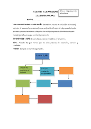 EVALUACIÓN DE LOS APRENDIZAJES
ÁREA: CIENCIAS NATURALES
Nombre………………………….…………….…………………………
DESTREZA CON CRITERIO DE DESEMPEÑO: .Describir los procesos de circulación, respiración y
excreción de la especie humana desde la observación e identificación de imágenes audiovisuales,
esquemas y modelos anatómicos, interpretación, descripción y relación del metabolismo de la
nutrición como funciones que permiten transformar lo
INDICADOR DE LOGRO: Esquematiza el proceso metabólico de la nutrición.
NOTA: Proceder de igual manera para los otros procesos de: respiración, excreción y
circulación
ORDEN: Completa el siguiente organizador.
Sé como el águila que reta
a las alturas
La nutrición
Función vital
para los seres
humanos
Incluye la
respiración,
iniciándose en
 