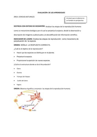 EVALUACIÓN DE LOS APRENDIZAJES
ÁREA: CIENCIAS NATURALES
DESTREZA CON CRITERIO DE DESEMPEÑO: Analizar las etapas de la reproducción humana
como un mecanismo biológico por el cual se perpetúa la especie, desde la observación y
descripción de imágenes audiovisuales y la decodificación de información científica.
INDICADOR DE LOGRO: Analiza las etapas de reproducción como mecanismo de
perpetuación de la especie.
ORDEN: SEÑALA LA RESPUESTA CORRECTA.
¿Cuál es el objetivo de la reproducción?
 Hacer que las especies se distribuyan en el planeta.
 Perpetuar la especie.
 Proporcionar la aparición de nuevas especies.
¿Cuál es la estructura donde se da la fecundación?
 Útero
 Ovarios
 Trompas de Falopio
 Cuello del útero
 Vagina
ORDEN: Observa el grafico y reconoce las etapas de la reproducción humana.
Un joven que se esfuerza es
un hombre en perspectiva.
 