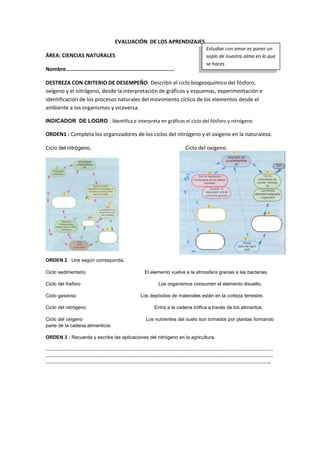 EVALUACIÓN DE LOS APRENDIZAJES
ÁREA: CIENCIAS NATURALES
Nombre………………………….…………….…………………………
DESTREZA CON CRITERIO DE DESEMPEÑO: Describir el ciclo biogeoquímico del fósforo,
oxígeno y el nitrógeno, desde la interpretación de gráficos y esquemas, experimentación e
identificación de los procesos naturales del movimiento cíclico de los elementos desde el
ambiente a los organismos y viceversa.
INDICADOR DE LOGRO : Identifica e interpreta en gráficos el ciclo del fósforo y nitrógeno
ORDEN1 : Completa los organizadores de los ciclos del nitrógeno y el oxigeno en la naturaleza.
Ciclo del nitrógeno. Ciclo del oxigeno.
ORDEN 2 : Une según corresponda.
Ciclo sedimentario El elemento vuelve a la atmosfera gracias a las bacterias.
Ciclo del fosforo Los organismos consumen el elemento disuelto.
Ciclo gaseoso Los depósitos de materiales están en la corteza terrestre.
Ciclo del nitrógeno Entra a la cadena trófica a través de los alimentos.
Ciclo del oxigeno Los nutrientes del suelo son tomados por plantas formando
parte de la cadena alimenticia.
ORDEN 3 : Recuerda y escribe las aplicaciones del nitrógeno en la agricultura.
……………………………………………………………………………………………………………………………
……………………………………………………………………………………………………………………………
…………………………………………………………………………………………………………………………..
Estudiar con amor es poner un
soplo de nuestra alma en lo que
se haces
 