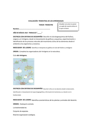 EVALUACIÓN TRIMESTRAL DE LOS APRENDIZAJES
TERCER TRIMESTRE
Nombre………………………….…………….…………………………
AÑO DE BÁSICA: 8v0 PARALELO:”_____”
DESTREZA CON CRITERIO DE DESEMPEÑO: Describir el ciclo biogeoquímico del fosforo,
oxigeno y el nitrógeno, desde la interpretación de gráficos y esquemas, experimentación e
identificación de los procesos naturales del movimiento cíclico de los elementos desde el
ambiente a los organismos y viceversa.
INDICADOR DE LOGRO: identifica e interpreta en gráficos el ciclo del fosforo y nitrógeno
ORDEN : Completa los organizadores del nitrógeno en la naturaleza.
Ciclo del nitrógeno.
DESTREZA CON CRITERIO DE DESEMPEÑO: Describir la flora en los desiertos desde la observación,
identificación e interpretación de mapas biogeográficos, información de inventarios y su relación con la
biodiversidad.
INDICADOR DE LOGRO: Identifica características de las plantas y animales del desierto
ORDEN : Subraya lo correcto.
La biodiversidad es.
Conjunto de especies.
Nivel de organización ecológica.
Estudiar con amor es poner
un soplo de nuestra alma en
lo que se haces
 