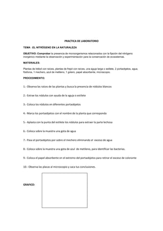PRACTICA DE LABORATORIO
TEMA :EL NITRÓGENO EN LA NATURALEZA
OBJETIVO: Comprobar la presencia de microorganismos relacionados con la fijación del nitrógeno
inorgánico mediante la observación y experimentación para la conservación de ecosistemas.
MATERIALES:
Plantas de trébol con raíces, plantas de frejol con raíces, una aguja larga o estilete, 2 portaobjetos, agua,
fósforos, 1 mechero, azul de metileno, 1 gotero, papel absorbente, microscopio.
PROCEDIMIENTO:
1.- Observa las raíces de las plantas y busca la presencia de nódulos blancos
2.- Extrae los nódulos con ayuda de la aguja o estilete
3.- Coloca los nódulos en diferentes portaobjetos
4.- Marca los portaobjetos con el nombre de la planta que corresponda
5.- Aplasta con la punta del estilete los nódulos para extraer la parte lechosa
6.- Coloca sobre la muestra una gota de agua
7.- Pasa el portaobjetos por sobre el mechero eliminando el exceso de agua
8.- Coloca sobre la muestra una gota de azul de metileno, para identificar las bacterias.
9.- Coloca el papel absorbente en el extremo del portaobjetos para retirar el exceso de colorante
10.- Observa las placas al microscopio y saca tus conclusiones.
GRAFICO:
 