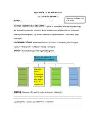 EVALUACIÓN DE LOS APRENDIZAJES
ÁREA: CIENCIAS NATURALES
Nombre………………………….…………….…………………………
DESTREZA CON CRITERIO DE DESEMPEÑO: .Explicar el impacto en la flora y fauna en riesgo
por deterioro ambiental y antrópico, desde la observación e interpretación audiovisual,
investigación bibliográfica y el análisis reflexivo de las relaciones de causa-efecto en el
ecosistema
INDICADOR DE LOGRO: Reflexiona sobre las relaciones causa efecto producidas por
especies introducidas y el deterioro natural y antrópico.
ORDEN 1: Completa el siguiente organizador grafico
ORDEN 2: Responde. ¿Por qué no existen anfibios en esta región?.
………………………………………………………………………………………………………………
………………………………………………………………………………………………………………
¿Cuáles son las especies que predominan en las islas?
………………………………………………………………………………………………………………
…………………………………………………………………………………………………………… ..
Sé como el águila que reta
a las alturas
Migración
interna.
Trabajadore
s que llegan
a las islas en
busca de
mejores días
…………………
…………………
…………………
…………………
…………………
…………………
…………………
…………………
…………………
…….
Factores que afectan la
biodiversidad de Galápagos
…………………
…………………
…………………
…………………
…………………
…………………
…………………
…………………
…………………
……
…………………
…………………
…………………
…………………
…………………
…………………
…………………
…………………
 
