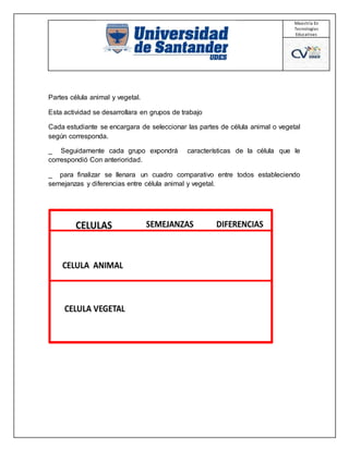 Maestría En
Tecnologías
Educativas
Partes célula animal y vegetal.
Esta actividad se desarrollara en grupos de trabajo
Cada estudiante se encargara de seleccionar las partes de célula animal o vegetal
según corresponda.
_ Seguidamente cada grupo expondrá características de la célula que le
correspondió Con anterioridad.
_ para finalizar se llenara un cuadro comparativo entre todos estableciendo
semejanzas y diferencias entre célula animal y vegetal.
 