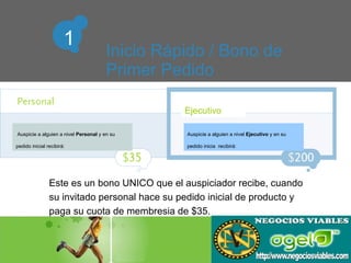 Entry Levels    Product Order Fast Start Executive  $1000  (16 boxes) $200  Personal   $200 (4 boxes) $35 (Use the chart #2 from the brochure here) Inicio Rápido / Bono de  Primer Pedido Este es un bono UNICO que el auspiciador recibe, cuando su invitado personal hace su pedido inicial de producto y paga su cuota de membresia de $35. Ejecutivo Auspicie a alguien a nivel  Personal  y en su pedido inicial recibirá:  Auspicie a alguien a nivel  Ejecutivo  y en su pedido inicia  recibirá:  1 