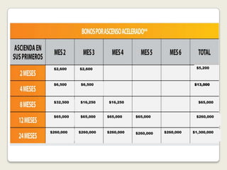 $2,600    $2,600                                       $5,200



 $6,500     $6,500                                     $13,000




 $32,500   $16,250    $16,250                            $65,000



 $65,000   $65,000    $65,000    $65,000                $260,000



$260,000   $260,000   $260,000   $260,000   $260,000   $1,300,000
 