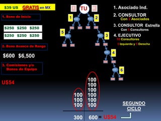 ID2. CONSULTOR1001001003. CONSULTOR1001001004. EJECUTIVO Estrella TUCon 2 Asociados     10 ConsultoresCon 5 Consultores  5Izquierda y5Derecha    $39 US – GRATISen MX1. Asociado Ind.1. Bono de Inicio12$250$250$25053$250$250$2502. Bono Avance de Rango4$600$6,5003. Comisiones y/o      Bonos de Equipo6100U$54100100100100100100SEGUNDO CICLO100100U$54=300600