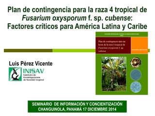 Plan de contingencia para la raza 4 tropical de
Fusarium oxysporum f. sp. cubense:
Factores críticos para América Latina y Caribe
Luis Pérez Vicente
SEMINARIO DE INFORMACIÓN Y CONCIENTIZACIÓN
CHANGUINOLA, PANAMÁ 17 DICIEMBRE 2014
 
