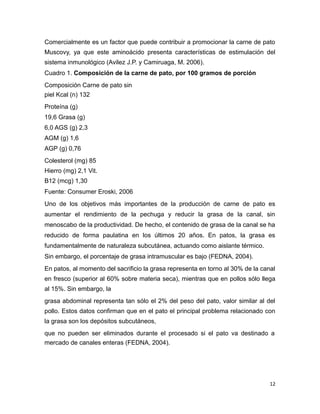Comercialmente es un factor que puede contribuir a promocionar la carne de pato
Muscovy, ya que este aminoácido presenta características de estimulación del
sistema inmunológico (Avilez J.P. y Camiruaga, M. 2006).
Cuadro 1. Composición de la carne de pato, por 100 gramos de porción
Composición Carne de pato sin
piel Kcal (n) 132
Proteína (g)
19,6 Grasa (g)
6,0 AGS (g) 2,3
AGM (g) 1,6
AGP (g) 0,76
Colesterol (mg) 85
Hierro (mg) 2,1 Vit.
B12 (mcg) 1,30
Fuente: Consumer Eroski, 2006
Uno de los objetivos más importantes de la producción de carne de pato es
aumentar el rendimiento de la pechuga y reducir la grasa de la canal, sin
menoscabo de la productividad. De hecho, el contenido de grasa de la canal se ha
reducido de forma paulatina en los últimos 20 años. En patos, la grasa es
fundamentalmente de naturaleza subcutánea, actuando como aislante térmico.
Sin embargo, el porcentaje de grasa intramuscular es bajo (FEDNA, 2004).
En patos, al momento del sacrificio la grasa representa en torno al 30% de la canal
en fresco (superior al 60% sobre materia seca), mientras que en pollos sólo llega
al 15%. Sin embargo, la
grasa abdominal representa tan sólo el 2% del peso del pato, valor similar al del
pollo. Estos datos confirman que en el pato el principal problema relacionado con
la grasa son los depósitos subcutáneos,
que no pueden ser eliminados durante el procesado si el pato va destinado a
mercado de canales enteras (FEDNA, 2004).
12
 
