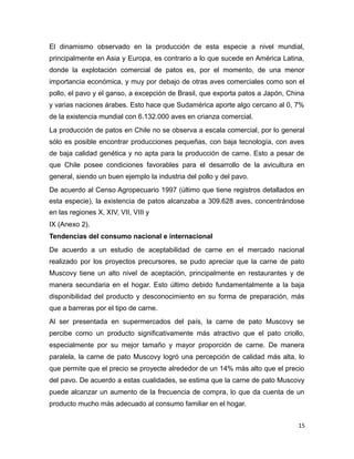El dinamismo observado en la producción de esta especie a nivel mundial,
principalmente en Asia y Europa, es contrario a lo que sucede en América Latina,
donde la explotación comercial de patos es, por el momento, de una menor
importancia económica, y muy por debajo de otras aves comerciales como son el
pollo, el pavo y el ganso, a excepción de Brasil, que exporta patos a Japón, China
y varias naciones árabes. Esto hace que Sudamérica aporte algo cercano al 0, 7%
de la existencia mundial con 6.132.000 aves en crianza comercial.
La producción de patos en Chile no se observa a escala comercial, por lo general
sólo es posible encontrar producciones pequeñas, con baja tecnología, con aves
de baja calidad genética y no apta para la producción de carne. Esto a pesar de
que Chile posee condiciones favorables para el desarrollo de la avicultura en
general, siendo un buen ejemplo la industria del pollo y del pavo.
De acuerdo al Censo Agropecuario 1997 (último que tiene registros detallados en
esta especie), la existencia de patos alcanzaba a 309.628 aves, concentrándose
en las regiones X, XIV, VII, VIII y
IX (Anexo 2).
Tendencias del consumo nacional e internacional
De acuerdo a un estudio de aceptabilidad de carne en el mercado nacional
realizado por los proyectos precursores, se pudo apreciar que la carne de pato
Muscovy tiene un alto nivel de aceptación, principalmente en restaurantes y de
manera secundaria en el hogar. Esto último debido fundamentalmente a la baja
disponibilidad del producto y desconocimiento en su forma de preparación, más
que a barreras por el tipo de carne.
Al ser presentada en supermercados del país, la carne de pato Muscovy se
percibe como un producto significativamente más atractivo que el pato criollo,
especialmente por su mejor tamaño y mayor proporción de carne. De manera
paralela, la carne de pato Muscovy logró una percepción de calidad más alta, lo
que permite que el precio se proyecte alrededor de un 14% más alto que el precio
del pavo. De acuerdo a estas cualidades, se estima que la carne de pato Muscovy
puede alcanzar un aumento de la frecuencia de compra, lo que da cuenta de un
producto mucho más adecuado al consumo familiar en el hogar.
15
 