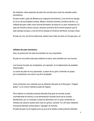 No obstante, otras especies de pato han servido para crear los actuales patos
domésticos.
El pato criollo o pato de Berbería es originario de América y vive de forma salvaje
en el sur de los Estados Unidos, México, América Central y América del Sur. La
utilidad del pato criollo como animal doméstico se basa en su gran resistencia. El
pato de Carolina (Anas crecca), tampoco proviene de la misma especie que el
pato salvaje europeo y vive de forma salvaje en América del Norte, Europa y Asia.
El pato se cría, de forma tradicional, desde hace miles de años en Europa pero, en
Utilidad del pato doméstico
Asia, la producción de este ave también es muy importante.
El pato se cría sobre todo para obtener la carne, pero también por sus huevos.
Los huevos de pato son empleados, por ejemplo, en la elaboración de pasteles
tradicionales.
La carne de pato es muy apreciada, a pesar de su gran contenido en grasa,
por considerarse una carne muy fina al paladar.
Unos productos muy cotizado que se obtienen del pato es el foie gras ( "hígado
graso" ) y en menor medida el paté de hígado.
Para obtener el cotizado producto llamado foie gras se somete al pato
(normalmente el macho) a una alimentación forzada (se le da la comida,
literalmente, por un embudo) a base de alimentos con un gran contenido en
hidratos de carbono (sobre todo maíz en grano), durante 15 o 20 días mediante
el proceso llamado embuchado o "gavage" en francés.
El paté de pato no es hígado puro ya que se le añade a este producto distintas
4
 