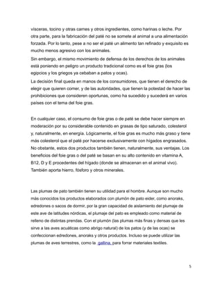 vísceras, tocino y otras carnes y otros ingredientes, como harinas o leche. Por
otra parte, para la fabricación del paté no se somete al animal a una alimentación
forzada. Por lo tanto, pese a no ser el paté un alimento tan refinado y exquisito es
mucho menos agresivo con los animales.
Sin embargo, el mismo movimiento de defensa de los derechos de los animales
está poniendo en peligro un producto tradicional como es el foie gras (los
egipcios y los griegos ya cebaban a patos y ocas).
La decisión final queda en manos de los consumidores, que tienen el derecho de
elegir que quieren comer, y de las autoridades, que tienen la potestad de hacer las
prohibiciones que consideren oportunas, como ha sucedido y sucederá en varios
países con el tema del foie gras.
En cualquier caso, el consumo de foie gras o de paté se debe hacer siempre en
moderación por su considerable contenido en grasas de tipo saturado, colesterol
y, naturalmente, en energía. Lógicamente, el foie gras es mucho más graso y tiene
más colesterol que el paté por hacerse exclusivamente con hígados engrasados.
No obstante, estos dos productos también tienen, naturalmente, sus ventajas. Los
beneficios del foie gras o del paté se basan en su alto contenido en vitamina A,
B12, D y E procedentes del hígado (donde se almacenan en el animal vivo).
También aporta hierro, fósforo y otros minerales.
Las plumas de pato también tienen su utilidad para el hombre. Aunque son mucho
más conocidos los productos elaborados con plumón de pato eider, como anoraks,
edredones o sacos de dormir, por la gran capacidad de aislamiento del plumaje de
este ave de latitudes nórdicas, el plumaje del pato es empleado como material de
relleno de distintas prendas. Con el plumón (las plumas más finas y densas que les
sirve a las aves acuáticas como abrigo natural) de los patos (y de las ocas) se
confeccionan edredones, anoraks y otros productos. Incluso se puede utilizar las
plumas de aves terrestres, como la gallina, para forrar materiales textiles.
5
 