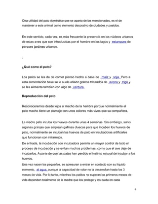 Otra utilidad del pato doméstico que se aparta de las mencionadas, es el de
mantener a este animal como elemento decorativo de ciudades y pueblos.
En este sentido, cada vez, es más frecuente la presencia en los núcleos urbanos
de estas aves que son introducidas por el hombre en los lagos y estanques de
parques jardines urbanos.
.
¿Qué come el pato?
Los patos se les da de comer pienso hecho a base de maíz y soja. Pero a
esta alimentación base se le suele añadir granos triturados de avena y trigo y
se les alimenta también con algo de verdura.
Reproducción del pato
Reconoceremos desde lejos al macho de la hembra porque normalmente el
pato macho tiene un plumaje con unos colores más vivos que su compañera.
La madre pato incuba los huevos durante unas 4 semanas. Sin embargo, salvo
algunas granjas que emplean gallinas cluecas para que incuben los huevos de
pato, normalmente se incuban los huevos de pato en incubadoras artificiales
que funcionan con infrarrojos.
De entrada, la incubación con incubadora permite un mayor control de todo el
proceso de incubación y se evitan muchos problemas, como que el ave deje de
incubarlos. A parte de que las patas han perdido el instinto natural de incubar a los
huevos.
Una vez nacen los pequeños, se apresuran a entrar en contacto con su líquido
elemento, el agua, aunque la capacidad de volar no la desarrollan hasta los 3
meses de vida. Por lo tanto, mientras los patitos no superan los primeros meses de
vida dependen totalmente de la madre que los protege y los cuida en cada
6
 