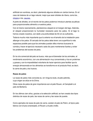 artificial con sombras, es decir, plantando algunos árboles en ciertos tramos. En el
caso de tratarse de un lago natural, mejor que sean árboles de ribera, como los
chopos o los sauces.
A parte de árboles, en el recinto de los patos podemos introducir plantas acuáticas
para proporcionarles alimento a nuestros patos.
Con el mismo razonamiento, plantaremos césped en el margen del lago. Además,
el césped proporcionará la humedad necesaria para los patos. Si el lago lo
hemos creado nosotros, con darle una profundidad de 50 cm es suficiente..
Todavía mucho más importante que lo anterior es el tamaño de la instalación para
albergar a los patos. El cercado de los patos debe tener una superficie lo más
espaciosa posible para que los animales puedan ellos mismos buscarse la
comida y hacer el ejercicio necesario cada día para mantenerse fuertes y evitar
los problemas del exceso de peso.
En la cría comercial del pato se busca, más que el bienestar de los animales, el
rendimiento económico, con una alimentación muy concentrada y rica en proteínas
y grasas y con la imposibilidad voluntaria de hacer ejercicio para facilitar que la
energía almacenada en los alimentos se transforme en el producto final, es decir,
la carne de pato y los huevos.
Razas de patos
La razas de patos más conocida es, sin ninguna duda, el pato pekinés,
cuyo origen se sitúa en la China.
Otras razas de patos de gran importancia son el pato Rouen, el Campbell o el
pato de Berbería.
En los últimos cien años, gracias a la selección artificial, se han creado dos tipos
distintos de razas de pato, las razas de carne y las razas de puesta.
Como ejemplos de razas de pato de carne, existen el pato de Pekín, el típico pato
blanco con el pico anaranjado, el Rouen y el pato criollo.
8
 