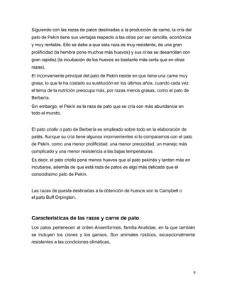 Siguiendo con las razas de patos destinadas a la producción de carne, la cría del
pato de Pekín tiene sus ventajas respecto a las otras por ser sencilla, económica
y muy rentable. Ello se debe a que esta raza es muy resistente, de una gran
prolificidad (la hembra pone muchos más huevos) y sus crías se desarrollan con
gran rapidez (la incubación de los huevos es bastante más corta que en otras
razas).
El inconveniente principal del pato de Pekín reside en que tiene una carne muy
grasa, lo que le ha costado su sustitución en los últimos años, cuando cada vez
el tema de la nutrición preocupa más, por razas menos grasas, como el pato de
Berbería.
Sin embargo, el Pekín es la raza de pato que se cría con más abundancia en
todo el mundo.
El pato criollo o pato de Berbería es empleado sobre todo en la elaboración de
patés. Aunque su cría tiene algunos inconvenientes si lo comparamos con el pato
de Pekín, como una menor prolificidad, una menor precocidad, un manejo más
complicado y una menor resistencia a las bajas temperaturas.
Es decir, el pato criollo pone menos huevos que el pato pekinés y tardan más en
incubarse, además de que está raza de patos es algo más delicada que el
conocidísimo pato de Pekín.
Las razas de puesta destinadas a la obtención de huevos son la Campbell o
el pato Buff Orpington.
Características de las razas y carne de pato
Los patos pertenecen al orden Anseriformes, familia Anatidae, en la que también
se incluyen los cisnes y los gansos. Son animales rústicos, excepcionalmente
resistentes a las condiciones climáticas,
9
 