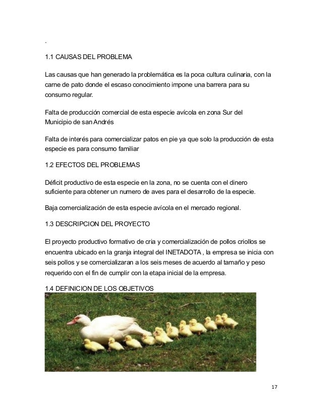Plan De Crianza De Patos
