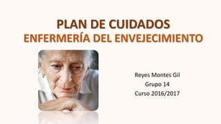 PLAN DE CUIDADOS
ENFERMERÍA DEL ENVEJECIMIENTO
Reyes Montes Gil
Grupo 14
Curso 2016/2017
 