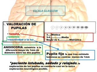 1. VALORACIÓN DE
PUPILAS
 tamaño,
simetría
reactividad a la luz
ESCALA GLASGOW
3…..Miótica
3-4…………….Media
Mayor de 4…………..Midriática
*paciente intubado, sedado y relajado, la
exploración de las pupilas se convierte casi en la única
exploración neurológica posible.
ANISOCORIA. asimetría a la
diferencia mayor de 1mm de
diámetro entre las dos pupilas
Pupila fija la que tras estímulo
luminoso se contrae menos de 1mm
 