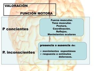 VALORACIÓN
FUNCIÓN MOTORA
P concientes
P. inconscientes
Fuerza muscular.
Tono muscular.
Postura.
Coordinación.
Reflejos.
Movimientos oculares
presencia o ausencia de:
 movimientos espontánea
 respuesta a estímulos
dolorosos.
 