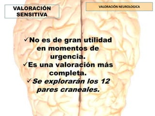 VALORACIÓN NEUROLOGICA
VALORACIÓN
SENSITIVA
No es de gran utilidad
en momentos de
urgencia.
Es una valoración más
completa.
Se explorarán los 12
pares craneales.
 