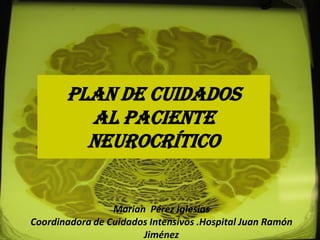 PLAN DE CUIDADOS
AL PACIENTE
NEUROCRÍTICO
Marian Pérez Iglesias
Coordinadora de Cuidados Intensivos .Hospital Juan Ramón
Jiménez
 