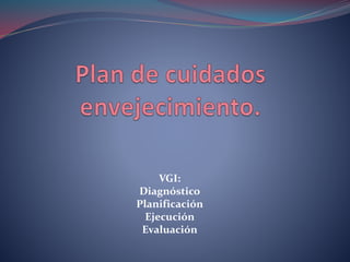 VGI:
Diagnóstico
Planificación
Ejecución
Evaluación
 
