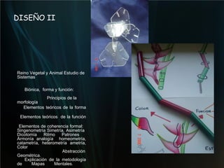 DISEÑO II Reino Vegetal y Animal Estudio de  Sistemas Biónica,  forma y función:  Principios de la morfología  Elementos teóricos de la forma Elementos teóricos  de la función Elementos de coherencia formal:  Singenometría Simetría, Asimetría  Dicotomía Ritmo Patrones  Armonía analogía  homeometría, catametría, heterometría ametría, Color  Abstracción Geométrica.   Explicación de la metodología de Mapas Mentales. 