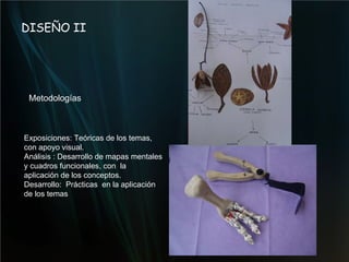 DISEÑO II Metodologías Exposiciones: Teóricas de los temas, con apoyo visual.  Análisis : Desarrollo de mapas mentales y cuadros funcionales, con  la aplicación de los conceptos.  Desarrollo:  Prácticas  en la aplicación de los temas 