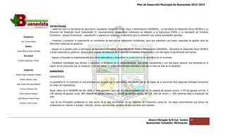 Plan de Desarrollo Municipal de Buenavista 2012-2015
                                                                                                                                                                           2015




                                 ESTRATEGIAS.
                                 .- Gestionar ante La Secretaria de Agricultura, Ganadería, Desarrollo Rural, Pesca y Alimentación (SAGARPA), La Secretaría de Desarrollo Rural (SEDRU) y La
                                 Dirección de Desarrollo Rural Sustentable (H. Ayuntamiento), Fideicomisos Instituidos en Relación a la Agricultura (FIRA) y L Secretaría de Fomento
                                                                                                                                                                   La    retaría
                                 Económico, apoyos Económicos , capacitación y asesoría en proyectos productivos para la población que realiza actividades ag
                                                                                                                                                           agrícolas.
         Presidente

      Luis Torres Chávez
                                 .- Fomentar y promover la organización en sociedades de agricultores legalmente constituidas, para que adquieran una mayor capacidad de gestión ante las
                                                                                                                                    que
                                 diferentes instancias de gobierno.
           Sindico
                                 .- Apoyar en la gestión ante La Secretaria de Agricultura Ganadería, Desarrollo Rural, Pesca y Alimentación (SAGARPA), Secretaría de Desarrollo Rural (SEDRU)
                                                                                                                                                        Secretaría
 Carlos Alberto Pérez Andrade
                                 y otras instancias de gobierno, apoyos para mejorar los Sistemas de Producción empleados actualmente y con ello lograr la tecnificación del Campo.
                                           stancias
         Secretario
                                 .- Apoyar y fomentar la implementación de cultivos alternativos y diversificar la producción de la agricultura en el m
                                                                                                                                                      municipio.
  Roberto Mayorquin Torres
                                 .- Establecer Estrategias que tiendan a solucionar el problema de la comercialización que existe actualmente y con ello lograr generar una demanda en la
                                 región de los productos que se producen y con ello elevar la rentabilidad de esta actividad y con ello el nivel de vida de la población.
         Regidores
                                 GANADERÍA
Miguel Ángel Cárdenas Ceballos
                                 DIAGNOSTICO
    Mirella Gallardo López
                                 La ganadería en el municipio es una actividad que al igual que la agricultura, representa una de las bases de la economía local (segunda actividad económica
                                                                                                                                                           local
José Antonio Birrueta Méndez
                                 en orden de importancia).
    Lorenzo Verduzco Paz
                                 Según datos de la SAGARPA del año 2008, el hato ganadero para ese año estuvo formado por 81 mil cabezas de ganado bovino, 4 254 de ganado porcino, 4
                                   gún
    María Mariscal Magaña        108 cabezas de ganado ovino, 984 cabezas de ganado caprino, 0 cabezas de ganado equino, 68 229 aves de corral y 1 200 colmenas para la extracción de
                                                                                                                                          corral
                                 miel.
  José Manuel Pineda Pineda

    Ricardo Torres Torres
                                  Una de los Principales problemas en este sector es la baja tecnificación de los Sistemas de Producción causa de los bajos conocimientos que tienen los
                                                                                                                                                            conocimientos
                                 productores en relación a manejo; nutrición, clínica, reproducción, genética de sus animales que e
                                                                                       reproducción,                              explotan.




                                                                                                                                     Álvaro Obregón S/N Col. Centro         64
                                                                                                                                    Buenavista Tomatlán, Michoacán.
 