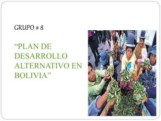 GRUPO # 8 
“PLAN DE 
DESARROLLO 
ALTERNATIVO EN 
BOLIVIA” 
 
