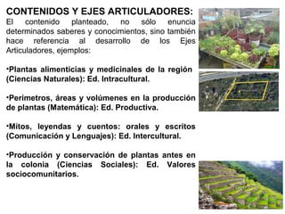 CONTENIDOS Y EJES ARTICULADORES:
El contenido planteado, no sólo enuncia
determinados saberes y conocimientos, sino también
hace referencia al desarrollo de los Ejes
Articuladores, ejemplos:
•Plantas alimenticias y medicinales de la región
(Ciencias Naturales): Ed. Intracultural.
•Perímetros, áreas y volúmenes en la producción
de plantas (Matemática): Ed. Productiva.
•Mitos, leyendas y cuentos: orales y escritos
(Comunicación y Lenguajes): Ed. Intercultural.
•Producción y conservación de plantas antes en
la colonia (Ciencias Sociales): Ed. Valores
sociocomunitarios.
 