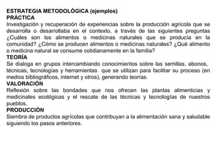 ESTRATEGIA METODOLÓGICA (ejemplos)
PRÁCTICA
Investigación y recuperación de experiencias sobre la producción agrícola que se
desarrolla o desarrollaba en el contexto, a través de las siguientes preguntas
¿Cuáles son los alimentos o medicinas naturales que se producía en la
comunidad? ¿Cómo se producen alimentos o medicinas naturales? ¿Qué alimento
o medicina natural se consume cotidianamente en la familia?
TEORÍA
Se dialoga en grupos intercambiando conocimientos sobre las semillas, abonos,
técnicas, tecnologías y herramientas que se utilizan para facilitar su proceso (en
medios bibliográficos, internet y otros), generando teorías.
VALORACIÓN
Reflexión sobre las bondades que nos ofrecen las plantas alimenticias y
medicinales ecológicas y el rescate de las técnicas y tecnologías de nuestros
pueblos.
PRODUCCIÓN
Siembra de productos agrícolas que contribuyan a la alimentación sana y saludable
siguiendo los pasos anteriores.
 