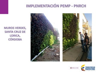 MANIZALES
IMPLEMENTACIÓN PEMP - PNRCH
17/05/2013
MUROS VERDES,
SANTA CRUZ DE
LORICA,
CÓRDOBA
 