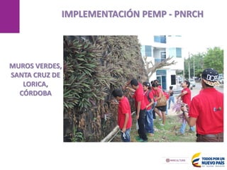 MANIZALES
IMPLEMENTACIÓN PEMP - PNRCH
17/05/2013
MUROS VERDES,
SANTA CRUZ DE
LORICA,
CÓRDOBA
 
