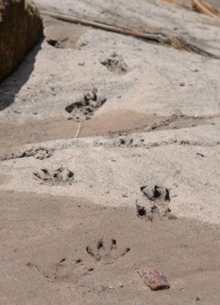 117
Plan de Desarrollo Regional Concertado. “Loreto al 2021” Actualizado
 