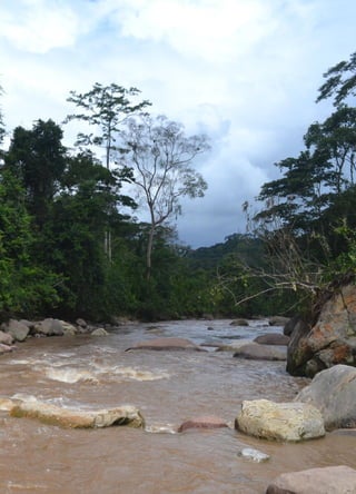 124
Plan de Desarrollo Regional Concertado. “Loreto al 2021” Actualizado
 