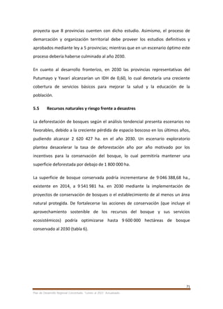 71
Plan de Desarrollo Regional Concertado. “Loreto al 2021” Actualizado
proyecta que 8 provincias cuenten con dicho estudio. Asimismo, el proceso de
demarcación y organización territorial debe proveer los estudios definitivos y
aprobados mediante ley a 5 provincias; mientras que en un escenario óptimo este
proceso debería haberse culminado al año 2030.
En cuanto al desarrollo fronterizo, en 2030 las provincias representativas del
Putumayo y Yavarí alcanzarían un IDH de 0,60, lo cual denotaría una creciente
cobertura de servicios básicos para mejorar la salud y la educación de la
población.
5.5 Recursos naturales y riesgo frente a desastres
La deforestación de bosques según el análisis tendencial presenta escenarios no
favorables, debido a la creciente pérdida de espacio boscoso en los últimos años,
pudiendo alcanzar 2 620 427 ha. en el año 2030. Un escenario exploratorio
plantea desacelerar la tasa de deforestación año por año motivado por los
incentivos para la conservación del bosque, lo cual permitiría mantener una
superficie deforestada por debajo de 1 800 000 ha.
La superficie de bosque conservada podría incrementarse de 9 046 388,68 ha.,
existente en 2014, a 9 541 981 ha. en 2030 mediante la implementación de
proyectos de conservación de bosques o el establecimiento de al menos un área
natural protegida. De fortalecerse las acciones de conservación (que incluye el
aprovechamiento sostenible de los recursos del bosque y sus servicios
ecosistémicos) podría optimizarse hasta 9 600 000 hectáreas de bosque
conservado al 2030 (tabla 6).
 
