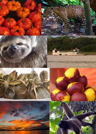 87
Plan de Desarrollo Regional Concertado. “Loreto al 2021” Actualizado
 