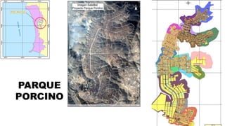 PARQUE
PORCINO
 