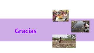 Gracias
 