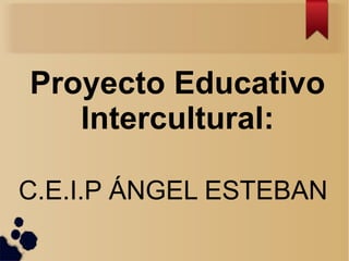 Proyecto Educativo 
Intercultural: 
C.E.I.P ÁNGEL ESTEBAN 
 