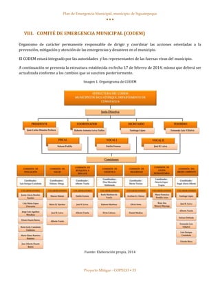 PLAN DE EMERGENCIA MUNICIPAL.pdf